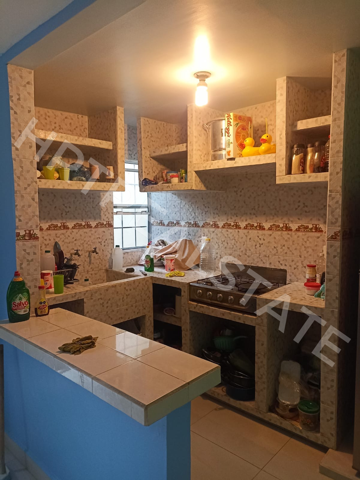 Foto 2 - Casa ubicada en fraccionamiento Arecas 