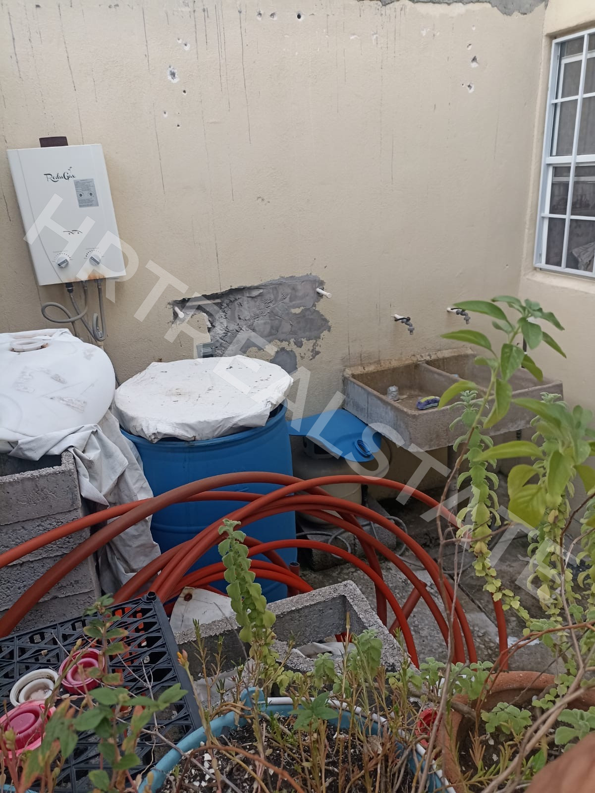 Foto 3 - Casa ubicada en fraccionamiento Arecas 