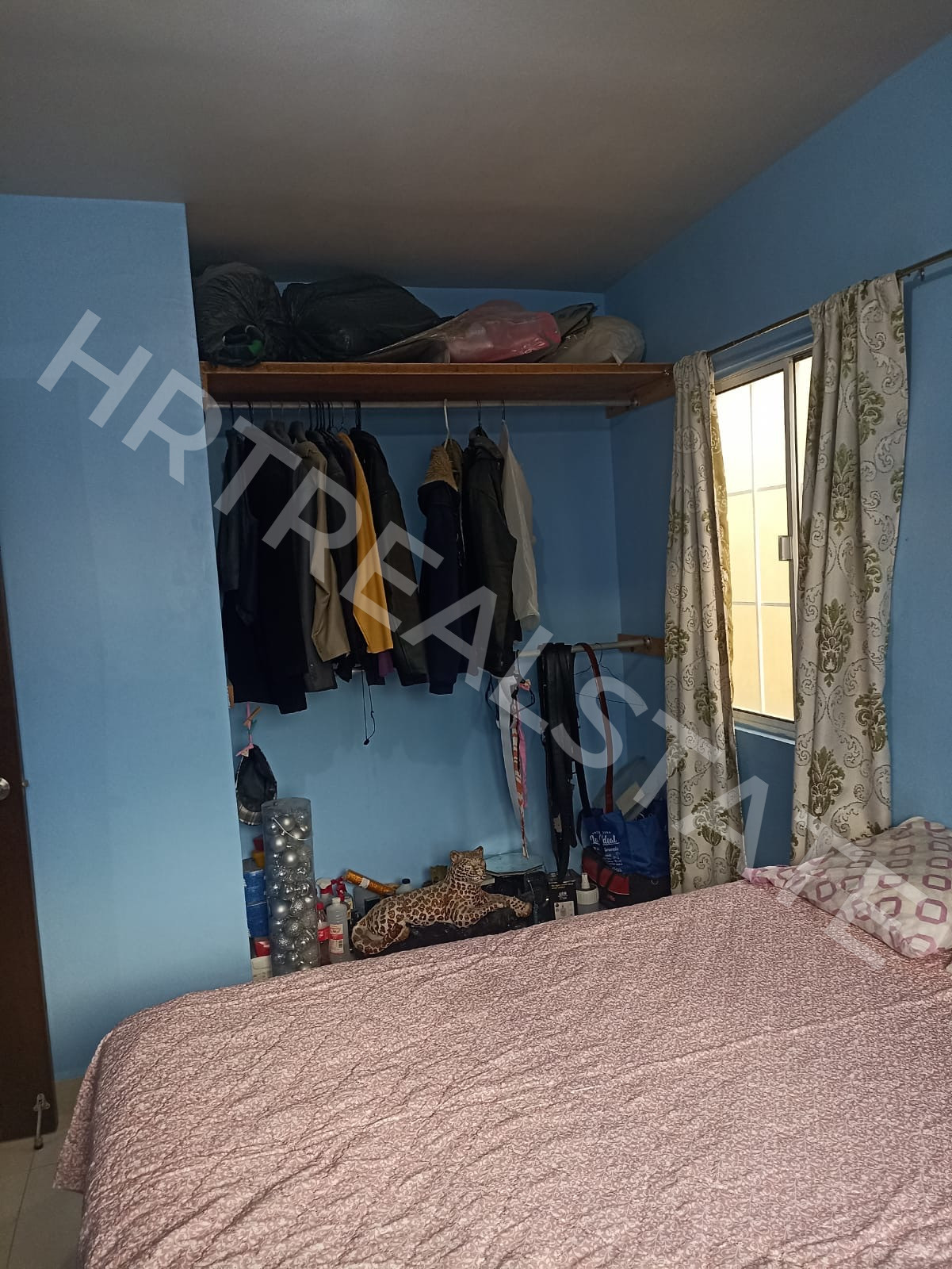 Foto 9 - Casa ubicada en fraccionamiento Arecas 